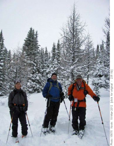 Healy Pass Trail