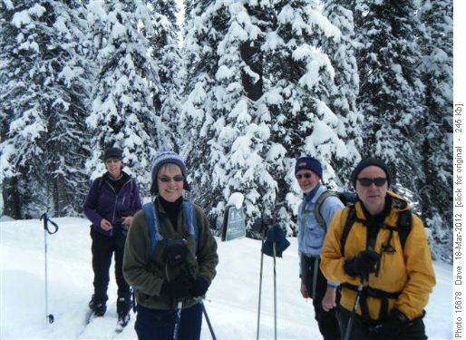 Junction of Bryant and Currie Creek Trails