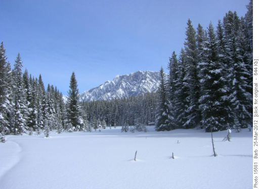 Faint trail