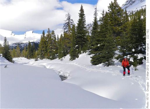 Along the main Mosquito Creek with Mosquito Peak on the right in the distance