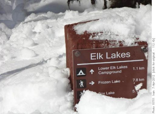 A lot of snow