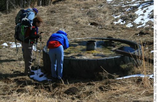 Inspecting pond scum at the barn
