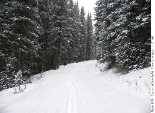 Elk Pass Route