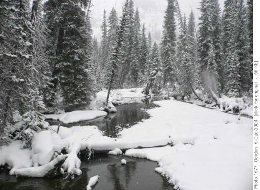 Winter Wonderland