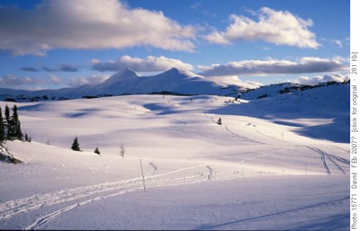 Return from Sunshine Meadows