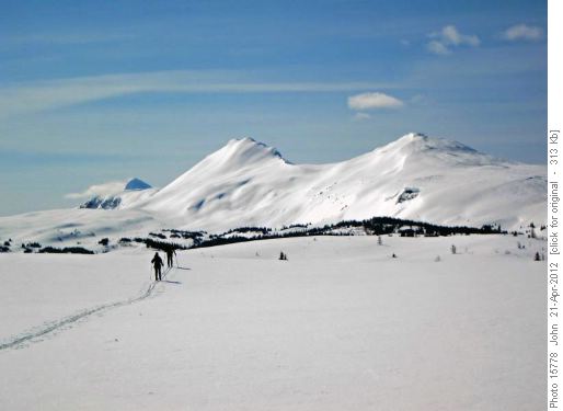 Sunshine Meadows towards Quatrz Ridge and Mt Assiniboine