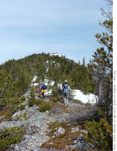 The high point of the ridge is now in sight