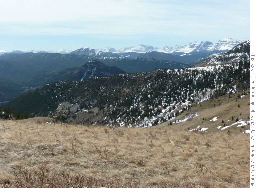 "Gunnery Ridge" as seen from Bull Creek Hills