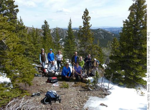 Intrepid Group
