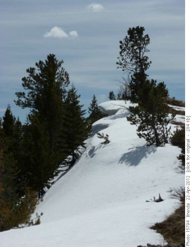 Cornices in the Bull Creek Hills