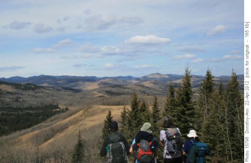 North view with Mesa Butte in the distance