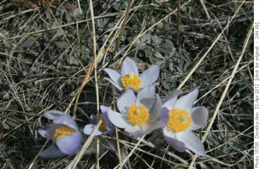 Spring at last