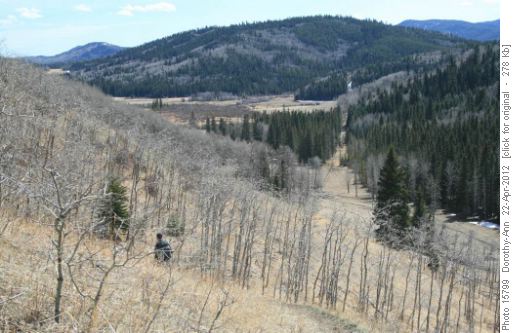 Down the last hill