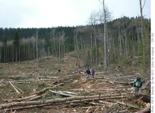 Recent Logging Activity