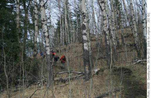 Trail on North side of highway