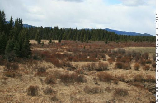 Meadow south of lunch location