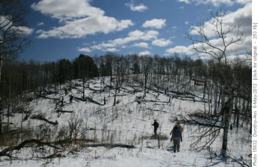 Climbing first hill with faint trail