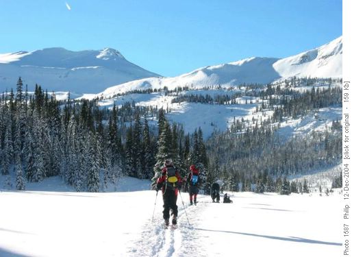 Traversing the meadows
