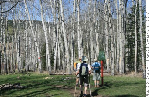 Junction to join new trail to Windy Pt
