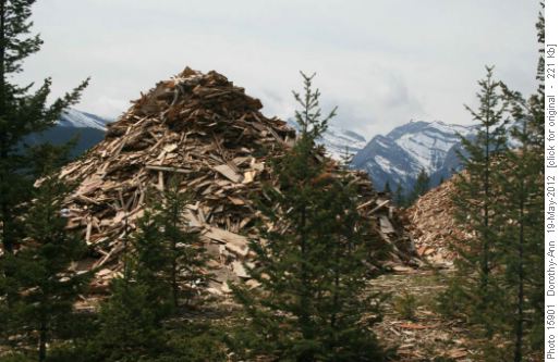 Pile of debris at the dump