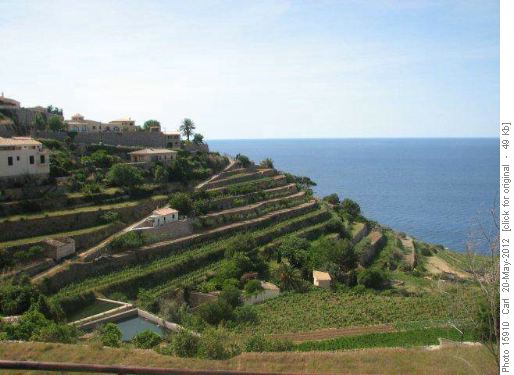 Terraces and the Mediterranean