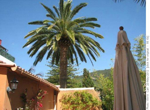 Patio at Hostal d'Esporles