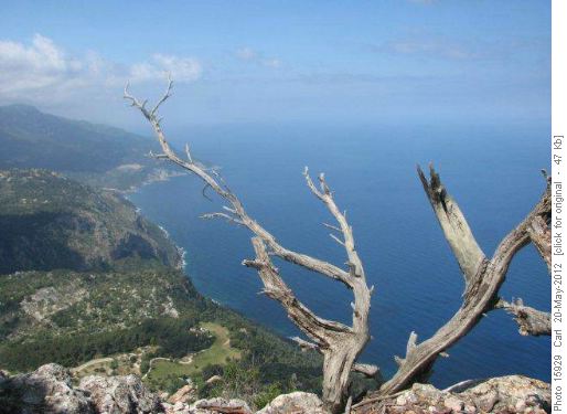 The Mediterranean coast