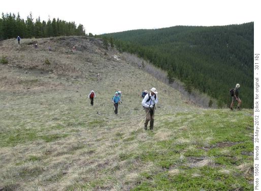 Along the top of Missinglink