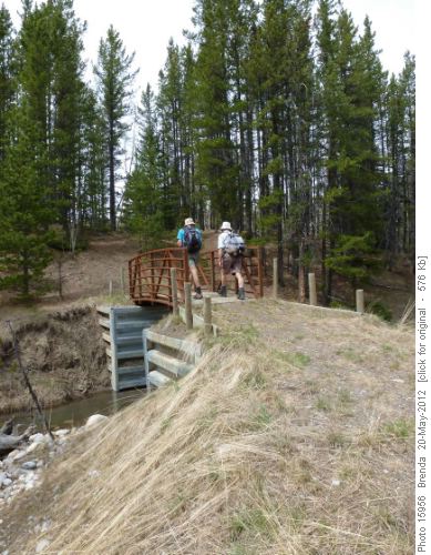 New bridge at the former Volcano Ridge trailhead