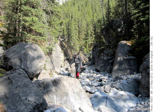 {607 Damian G} in upper Cougar Creek