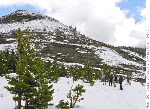 Approach to Mt Ware