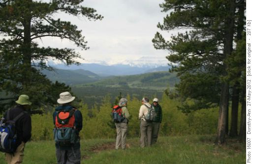 View from Long Prairie Ridge