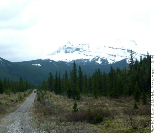Trail, old road, snow covered Forgetmenot Ridge
