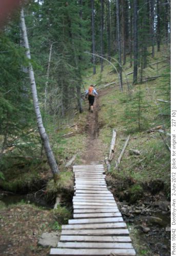 Bridge still crosses small creek