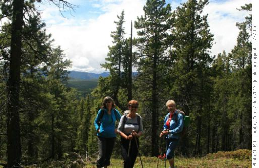 The group with view of mountains behind