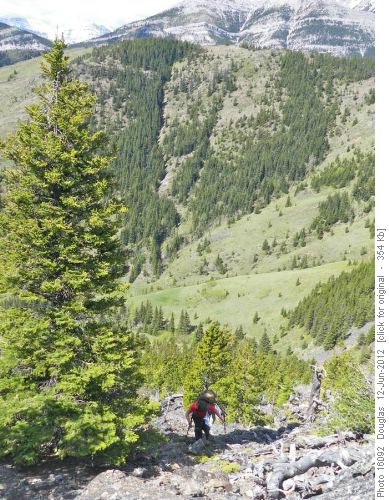 Climb up west facing slopes of Fir Creek