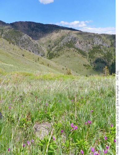 Up route was the far grassy slope with some rocky sections near the top, then following the ridge