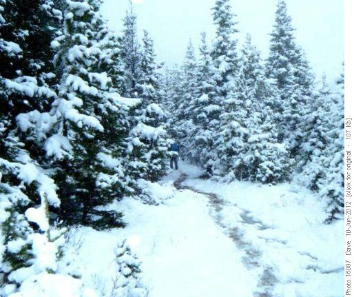 Snow 10 to 15 cm thick