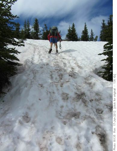 Snow patch on Cox Hill trail