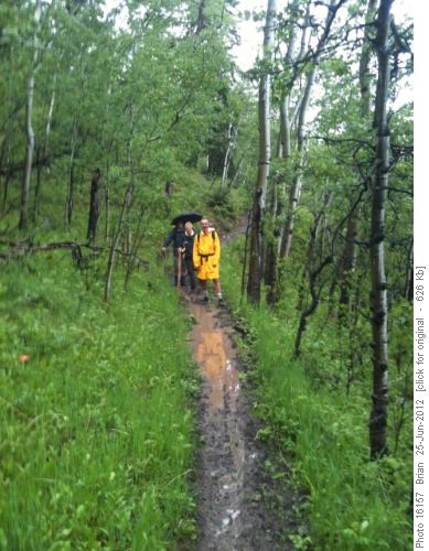 Muddy Trail