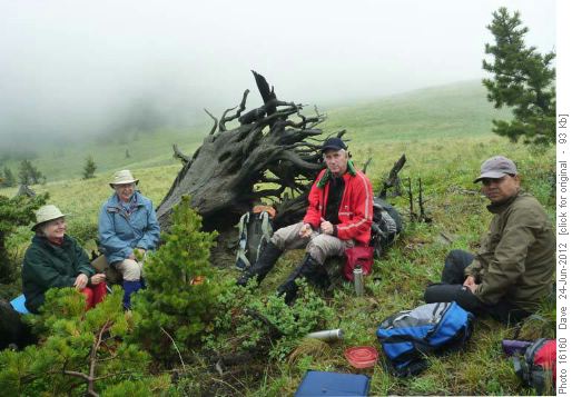 Lunch in the fog