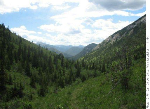 Gunnery Creek valley