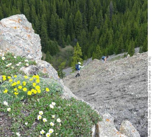 Descent down to Picklejar Lakes