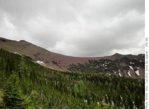 Carthew -Alderson, ridge line of the pass