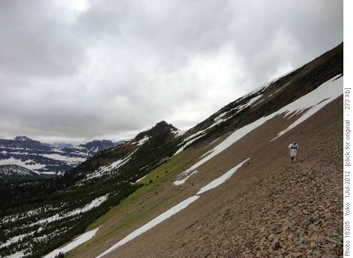 across steep scree slopes on Carthew -Alderson trail