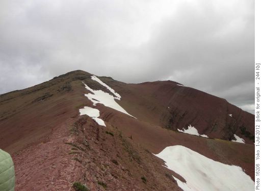 Carthew summit