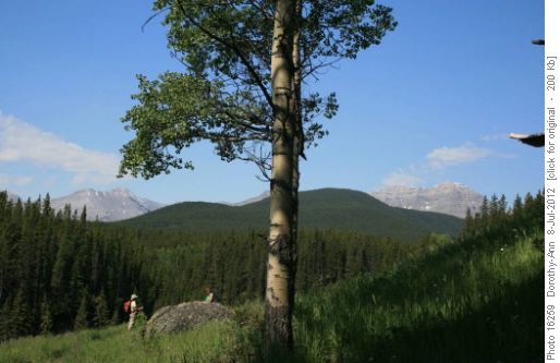 Through the meadows near start