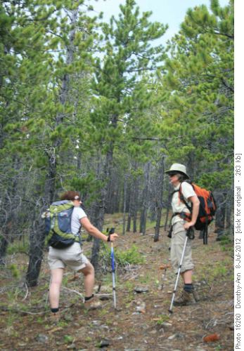 One of the many breaks, heading up the steep section