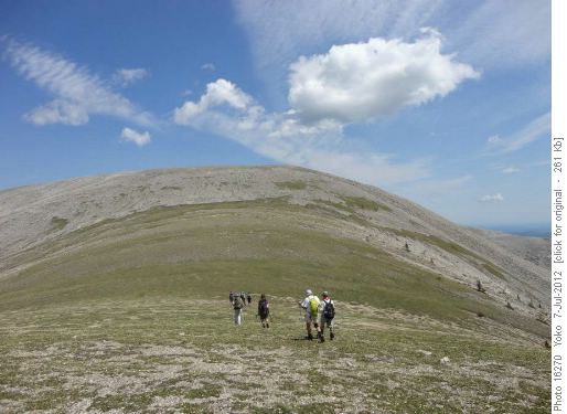 center of Moost Mt. ridge, toward east ridge