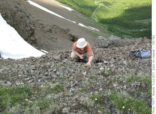 {188 bil lea} photographing on the edge of Old Baldy Ridge